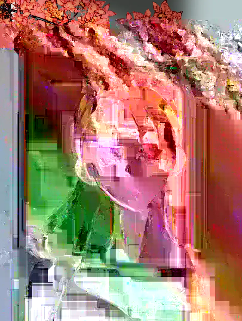 枫叶下的玫瑰